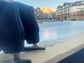 Delux apartment next to ice rink Gudauri